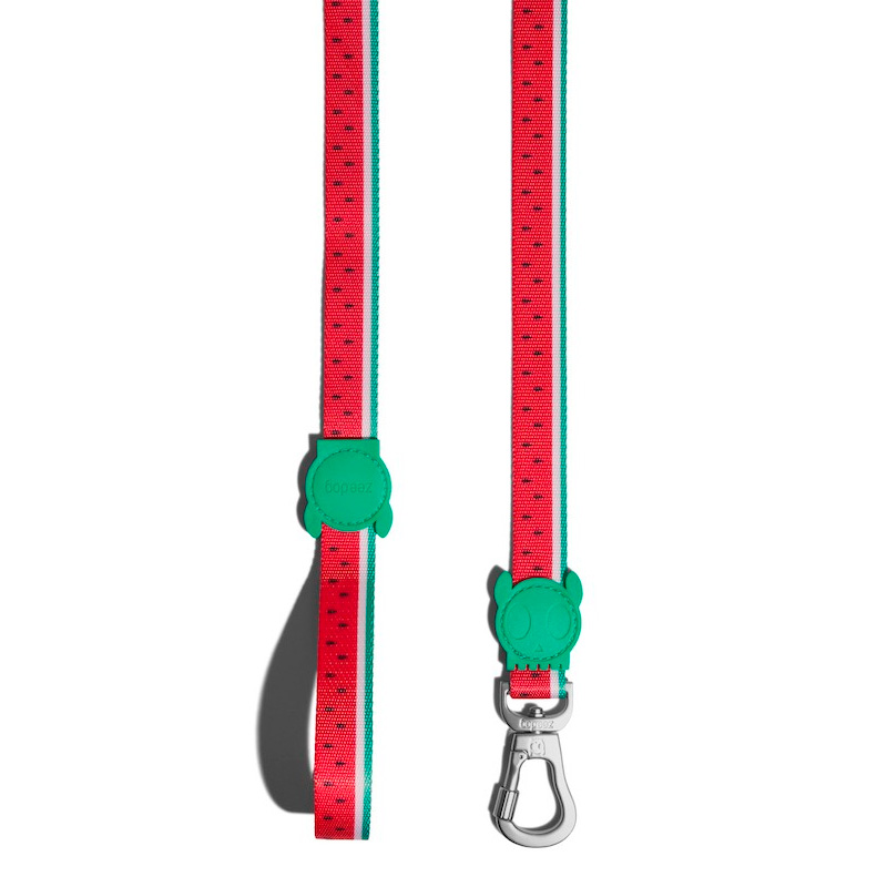 ZeeDog - Correa Lola