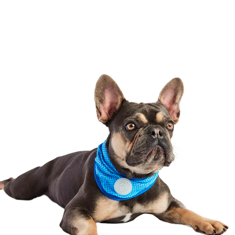 GF Pet - Bandana refrescante para Perros