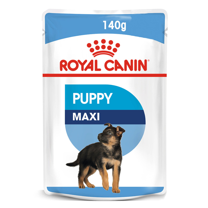 Royal Canin - Alimento Húmedo Cachorro Maxi Raza Grande
