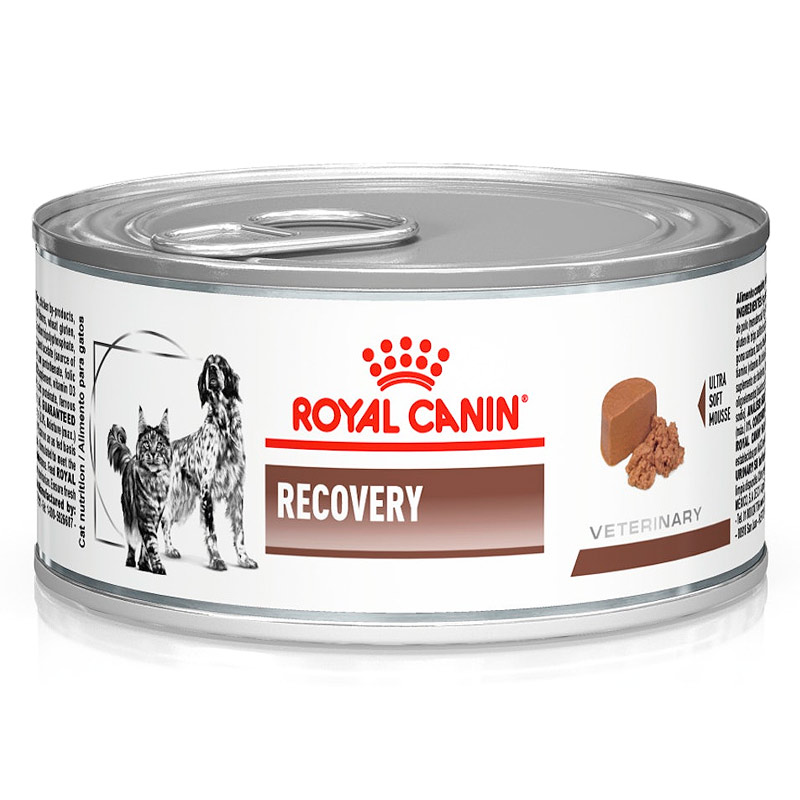 Royal Canin - Alimento Húmedo Recovery Perros y Gatos Lata