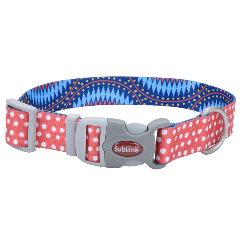 Coastal - Collar para Perro Sublime Dots