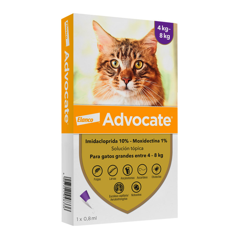 Advocate - Antiparasitario Externo Gatos 4 A 8 Kg