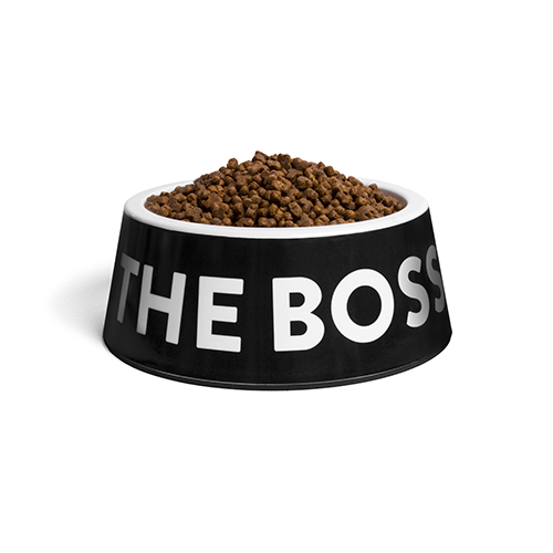 ZeeDog - I'm The Boss Bowl Black