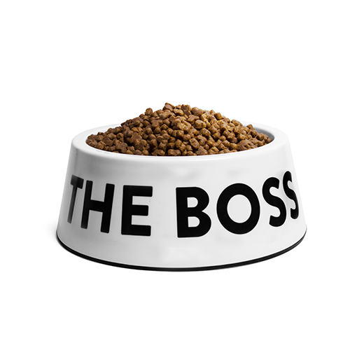 ZeeDog - I'm The Boss Bowl White