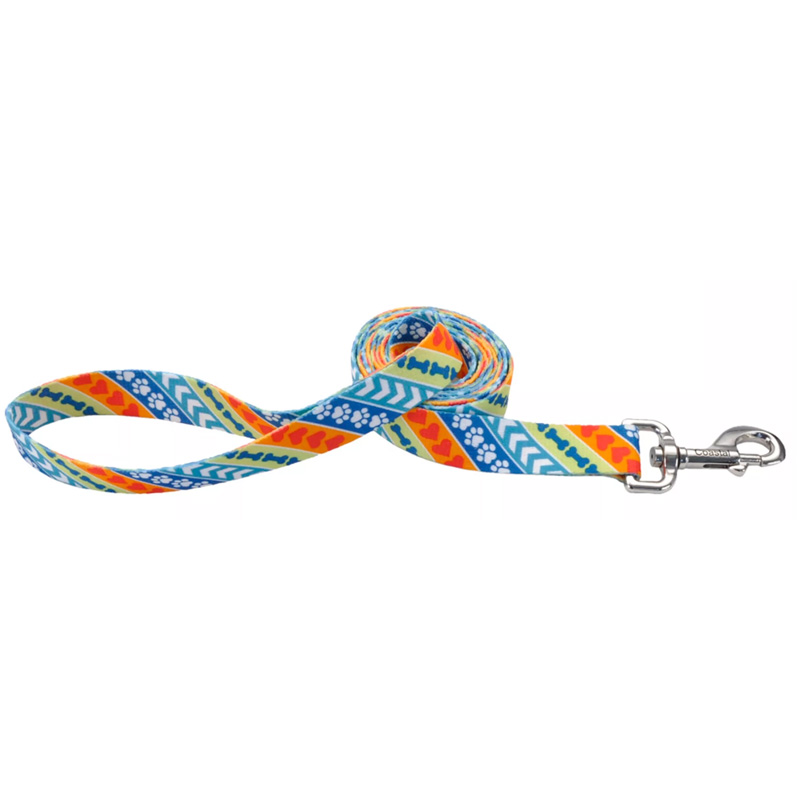 Coastal - Correa para Perro Styles Resolve