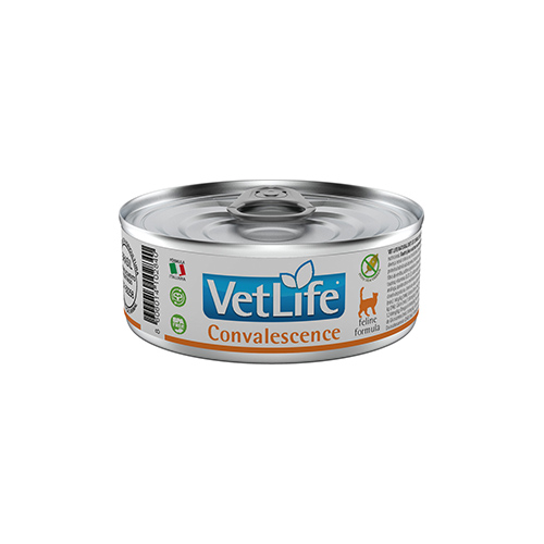 Vet Life - Wet Food Cat Convalescence