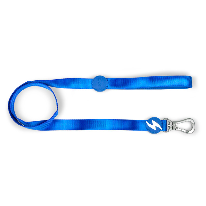 Dashi - Correa para Perro Azul