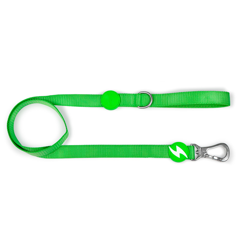 Dashi - Correa para Perro Verde