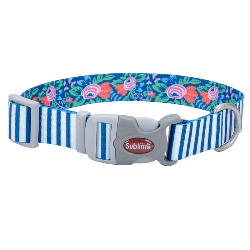 Coastal - Collar Sublime Teal Stripe