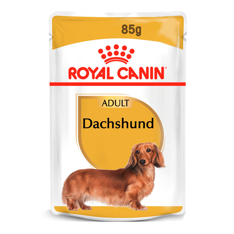 Royal Canin - Alimento Húmedo Perro Adulto Dachshund