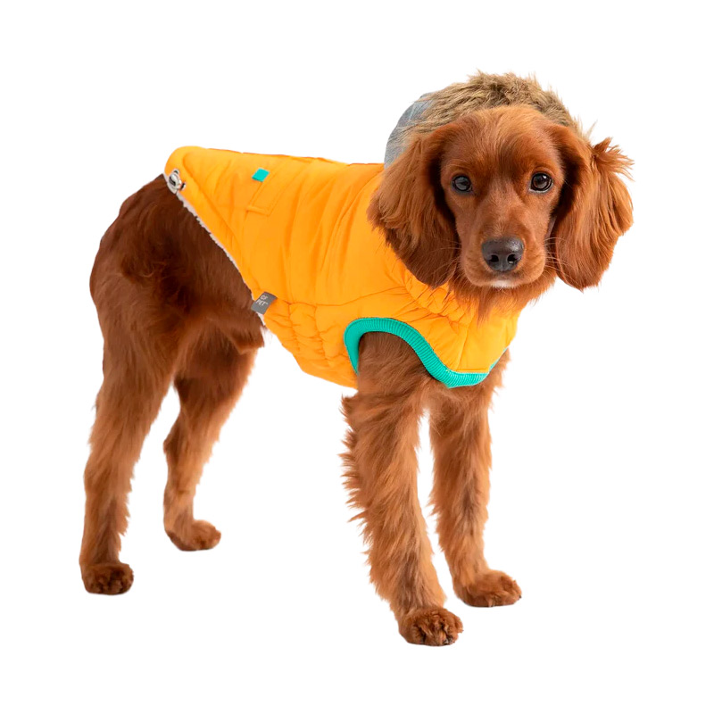 GF Pet - Parka Winter Sailor Amarillo