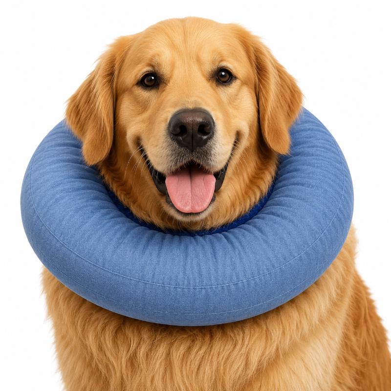 Paw Day - Collar Isabelino Acolchonado Perros y Gatos 2XL