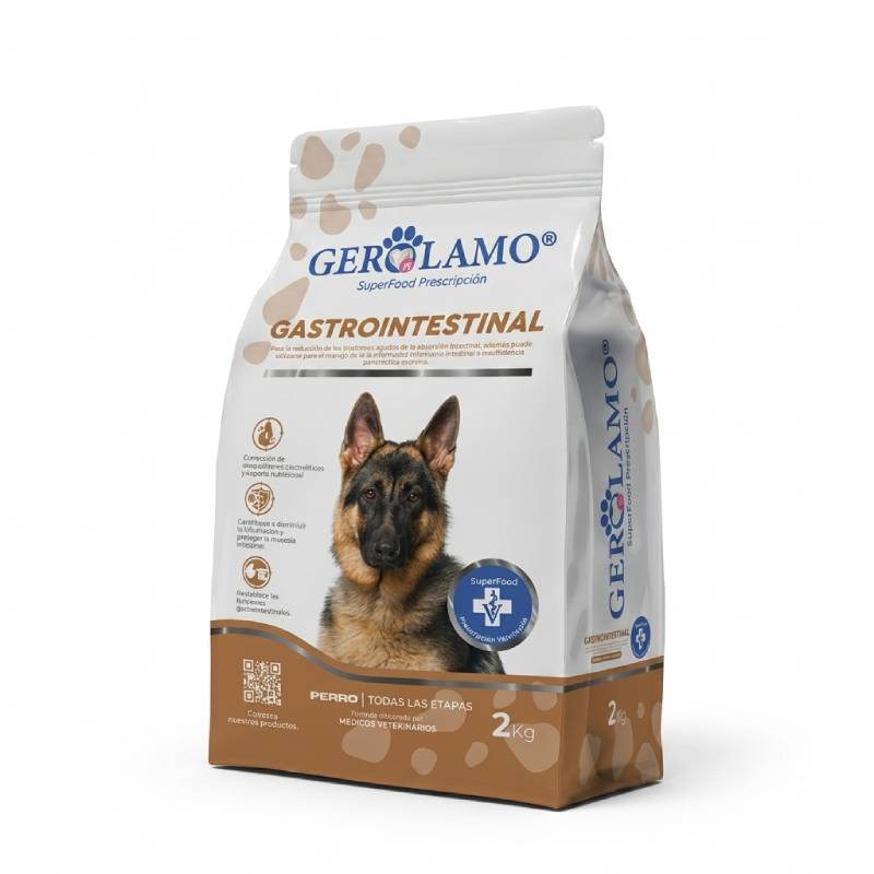 Gerolamo - Perro Gastrointestinal