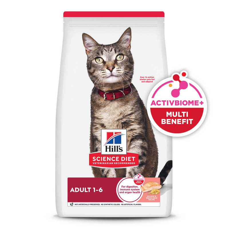 Hills Science Diet - Alimento Gato Adulto Salmón y Arroz