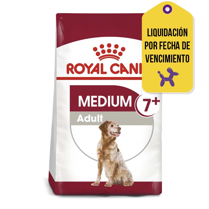 Royal Canin - Alimento Senior 7+ Razas Medianas F.V.13-09-26