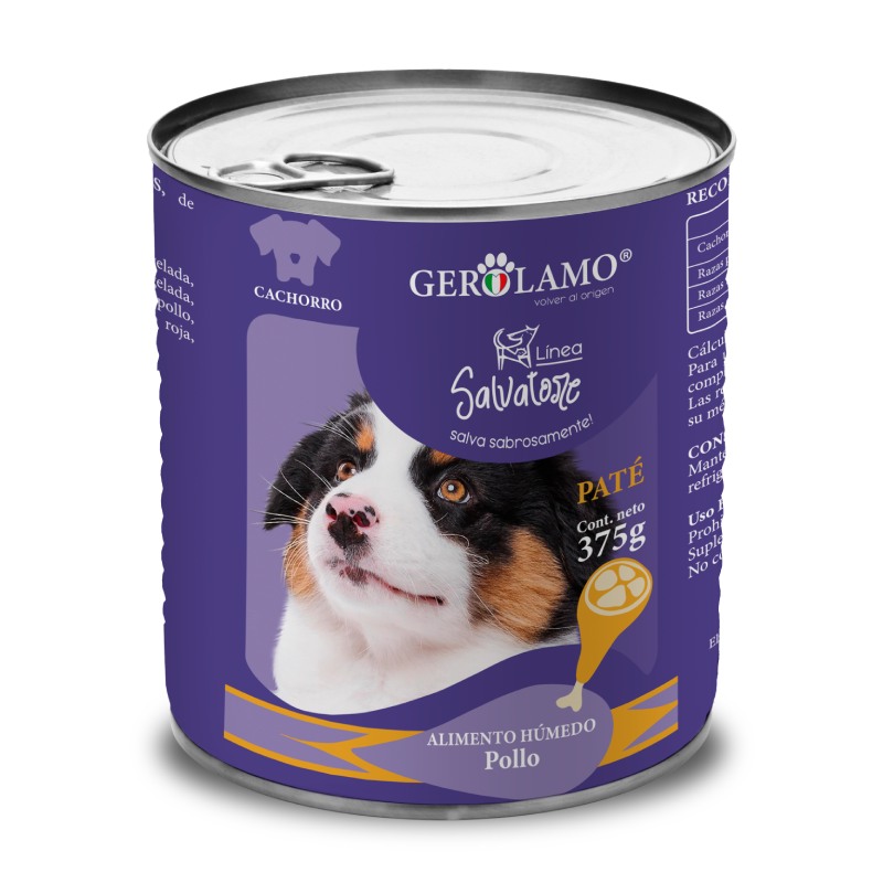Gerolamo - Salvatore Lata Perro Cachorro