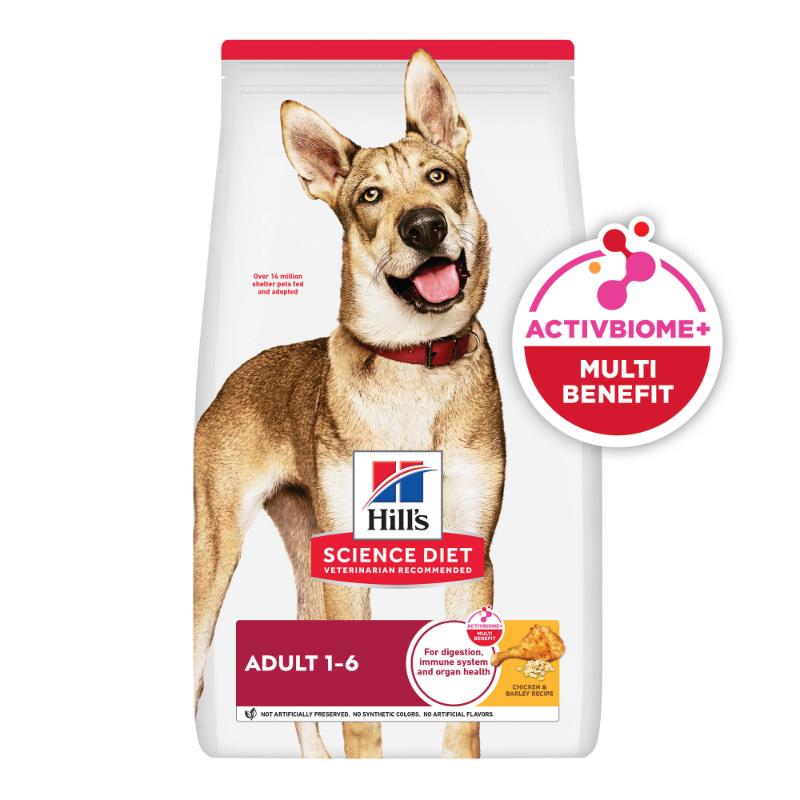 Hill's Science Diet Adulto