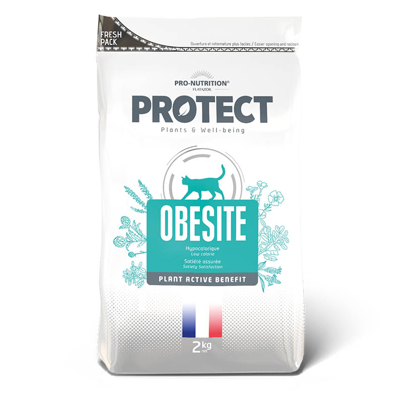 Protect - Alimento para Gato Obesite