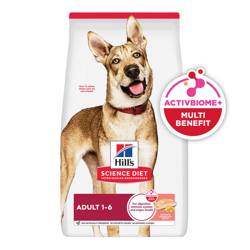 Hills Science Diet - Alimento Perro Adulto Receta Salmón