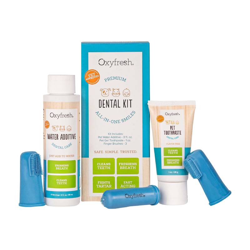 Oxyfresh - Kit Dental