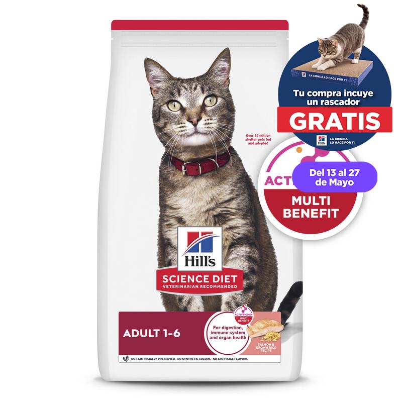Hills Science Diet - Alimento Gato Adulto Salmón y Arroz