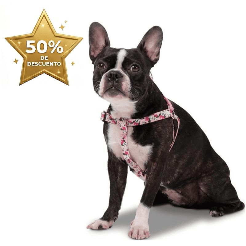 Totto Pets - Arnés de Caminata Brunno Minnie Mouse Rosado XL