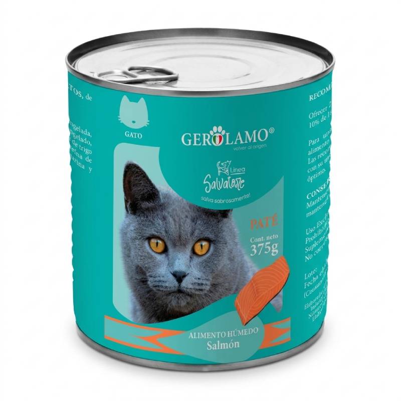Gerolamo - Salvatore Lata Gato Adulto
