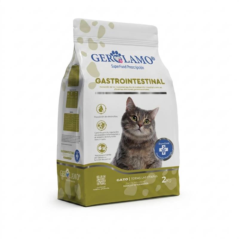 Gerolamo - Gato Gastrointestinal